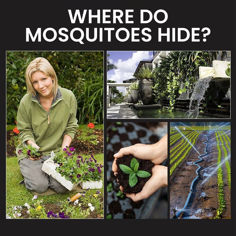 🌞🔥Solar-Insektenvernichter mit Erdspieß⏳